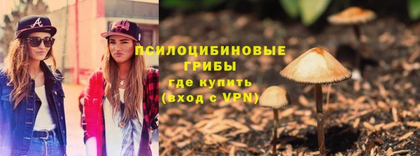 трава Абаза