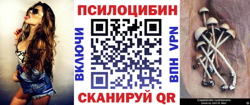 Псилоцибиновые грибы Psilocybe  Урень 